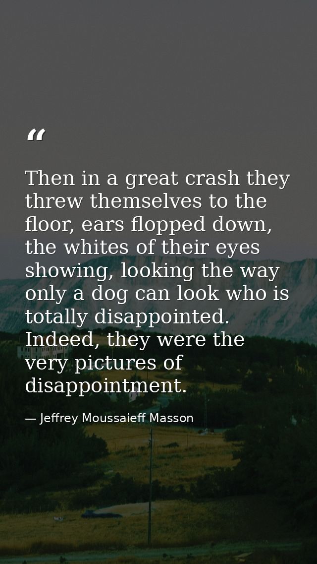 Then in a great crash they threw themselves to the floor, ears flopped down, the whites of their eyes showing, looking t — Jeffrey Moussaieff Masson