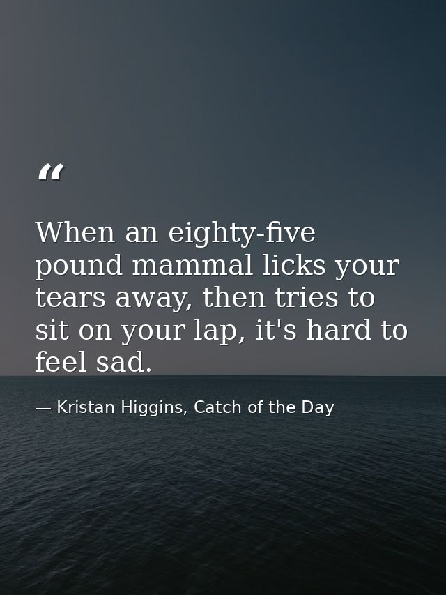 When an eighty-five pound mammal licks your tears away, then tries to sit on your lap, it's hard to feel sad. — Kristan Higgins, Catch of the Day