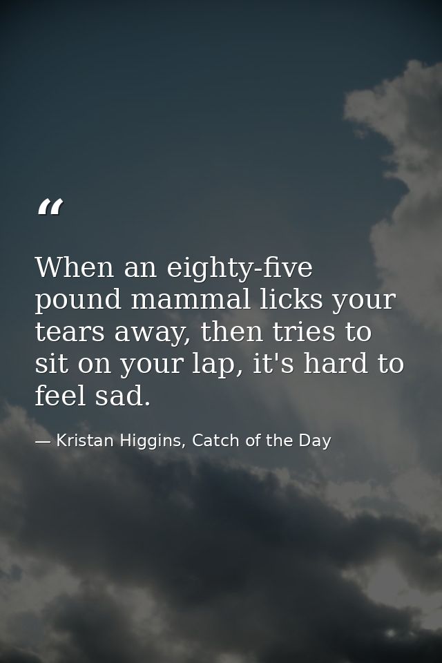 When an eighty-five pound mammal licks your tears away, then tries to sit on your lap, it's hard to feel sad. — Kristan Higgins, Catch of the Day