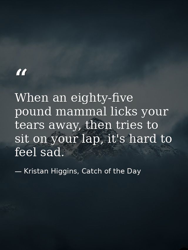 When an eighty-five pound mammal licks your tears away, then tries to sit on your lap, it's hard to feel sad. — Kristan Higgins, Catch of the Day