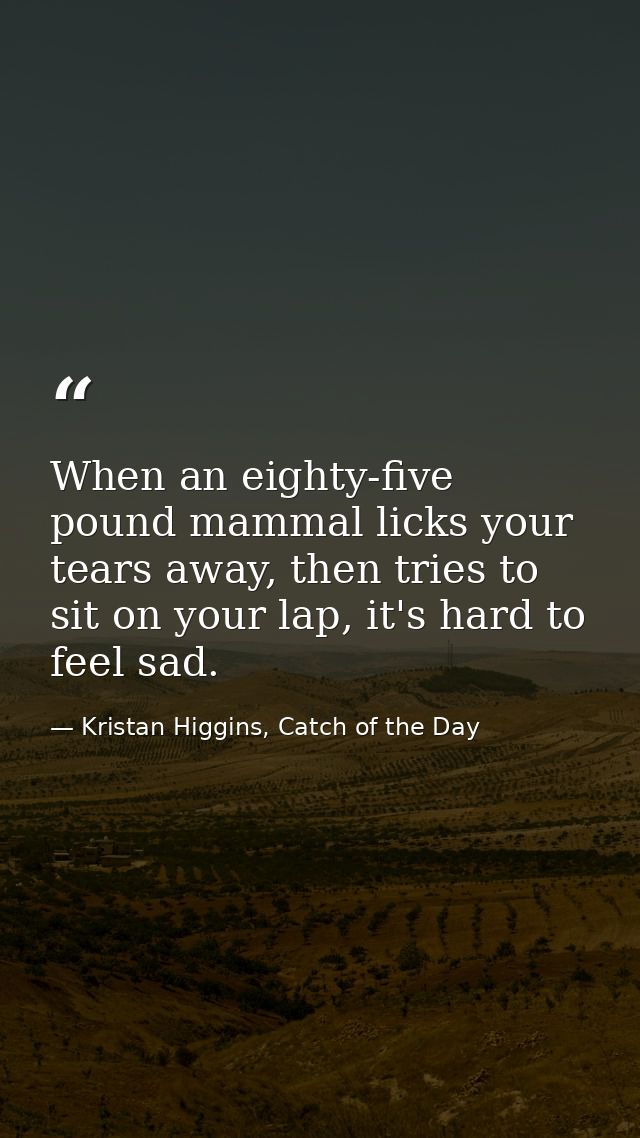 When an eighty-five pound mammal licks your tears away, then tries to sit on your lap, it's hard to feel sad. — Kristan Higgins, Catch of the Day