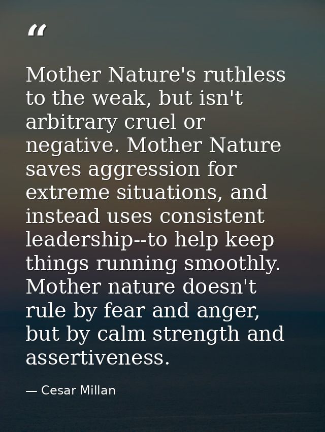 Mother Nature's ruthless to the weak, but isn't arbitrary cruel or negative. Mother Nature saves aggression for extreme  — Cesar Millan