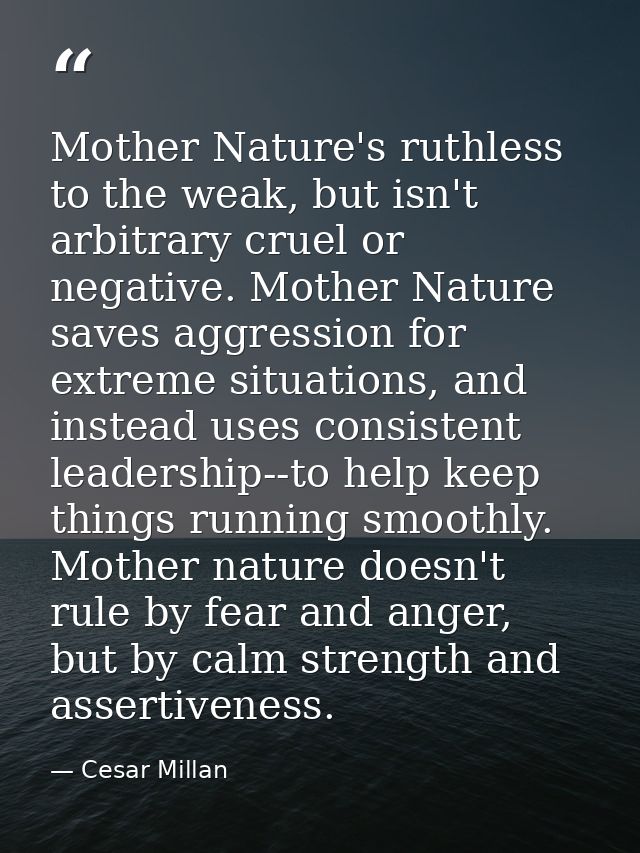 Mother Nature's ruthless to the weak, but isn't arbitrary cruel or negative. Mother Nature saves aggression for extreme  — Cesar Millan