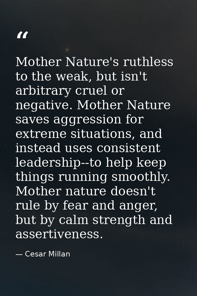 Mother Nature's ruthless to the weak, but isn't arbitrary cruel or negative. Mother Nature saves aggression for extreme  — Cesar Millan