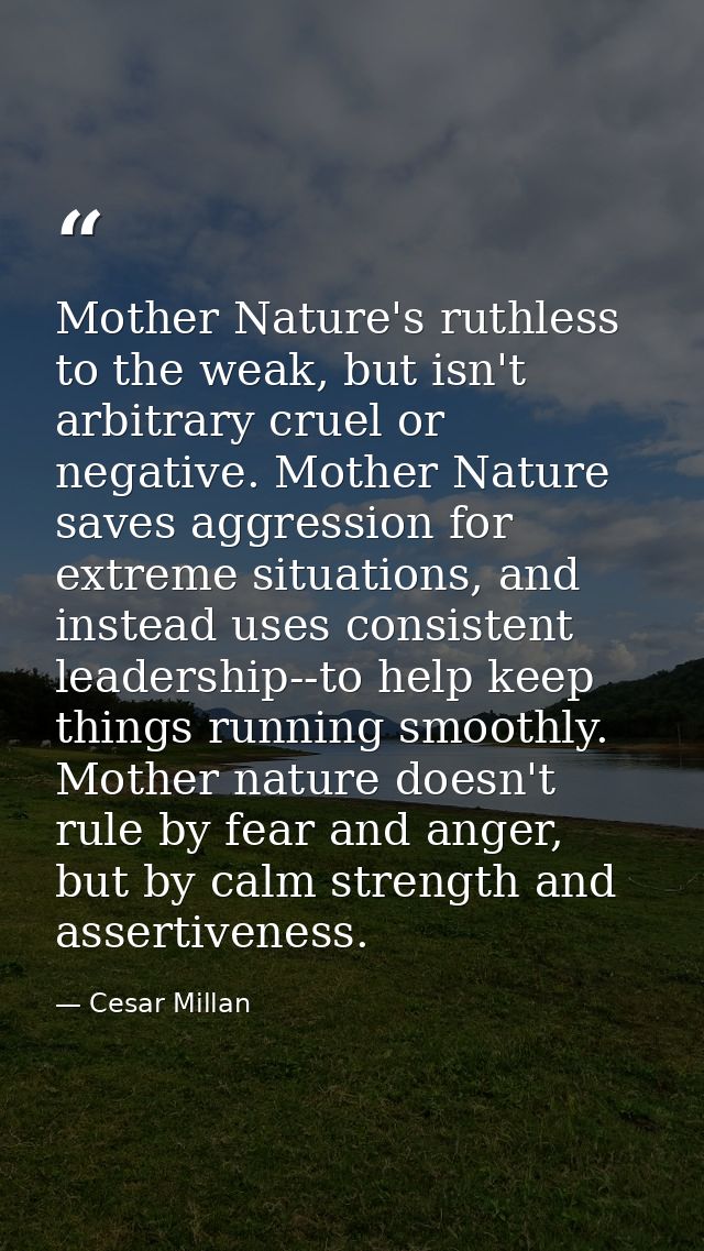 Mother Nature's ruthless to the weak, but isn't arbitrary cruel or negative. Mother Nature saves aggression for extreme  — Cesar Millan