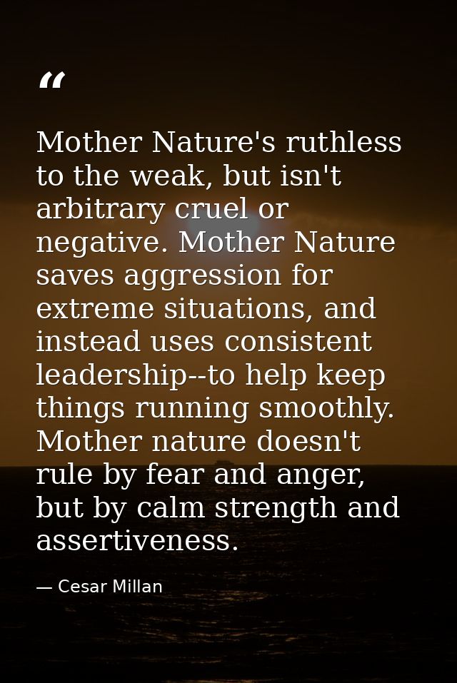 Mother Nature's ruthless to the weak, but isn't arbitrary cruel or negative. Mother Nature saves aggression for extreme  — Cesar Millan