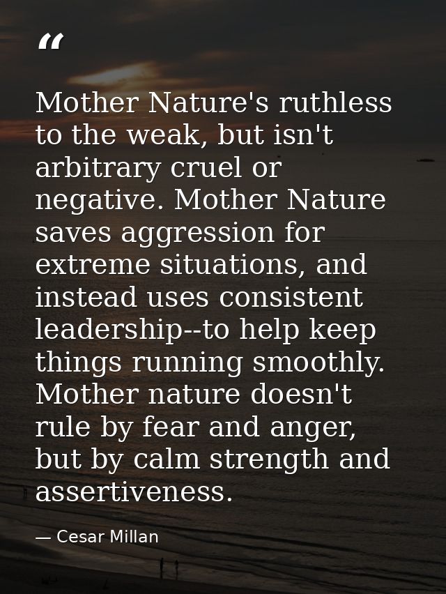 Mother Nature's ruthless to the weak, but isn't arbitrary cruel or negative. Mother Nature saves aggression for extreme  — Cesar Millan