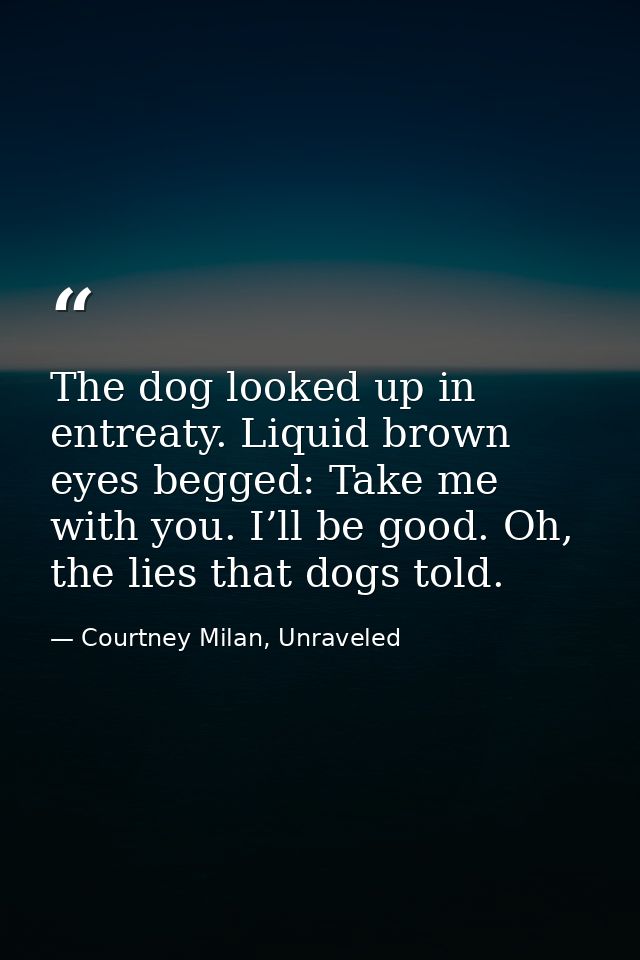 The dog looked up in entreaty. Liquid brown eyes begged: Take me with you. I’ll be good. Oh, the lies that dogs told. — Courtney Milan, Unraveled