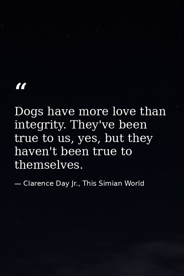 Dogs have more love than integrity. They've been true to us, yes, but they haven't been true to themselves. — Clarence Day Jr., This Simian World