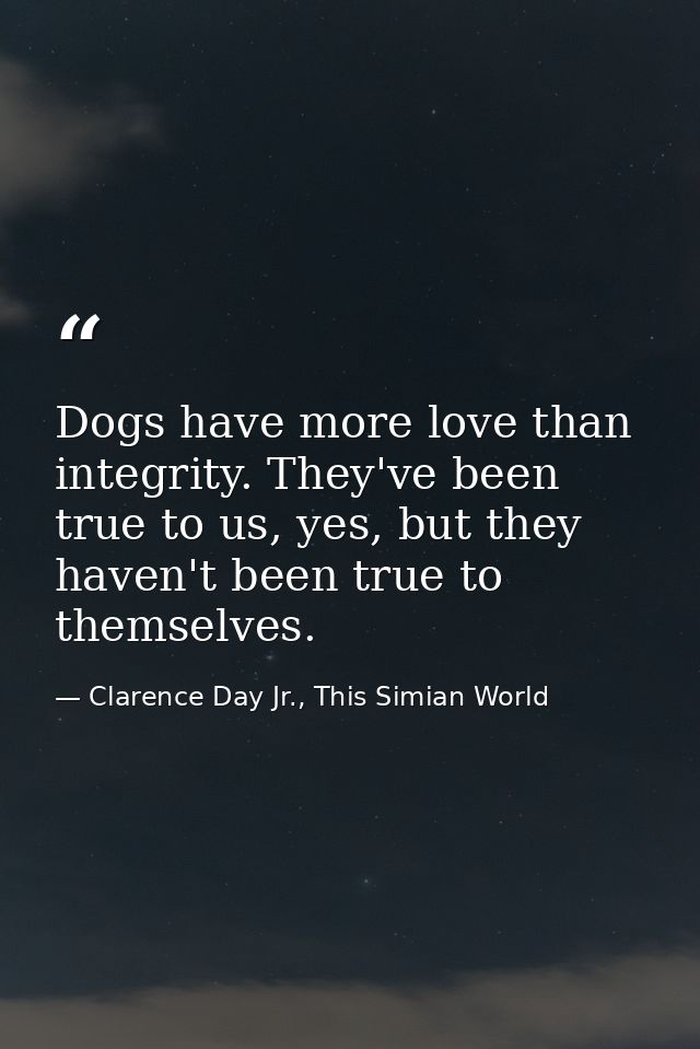 Dogs have more love than integrity. They've been true to us, yes, but they haven't been true to themselves. — Clarence Day Jr., This Simian World