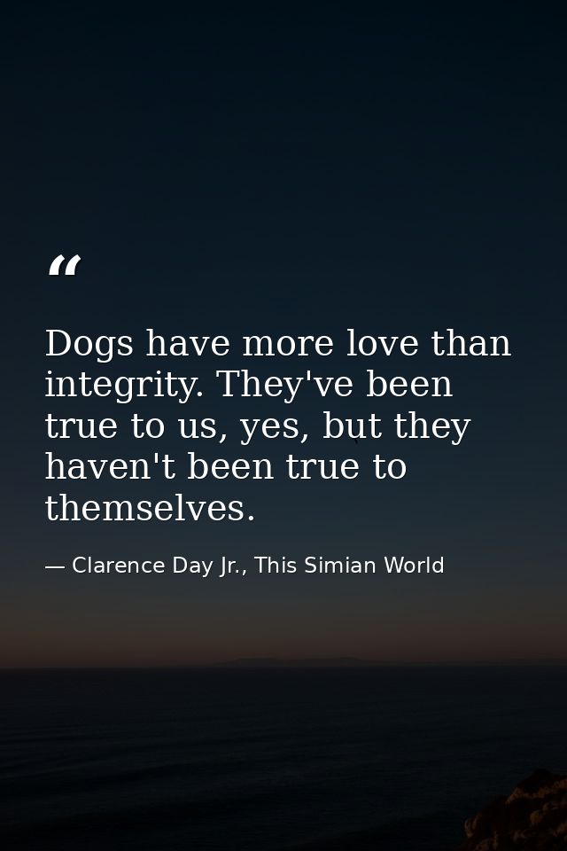 Dogs have more love than integrity. They've been true to us, yes, but they haven't been true to themselves. — Clarence Day Jr., This Simian World