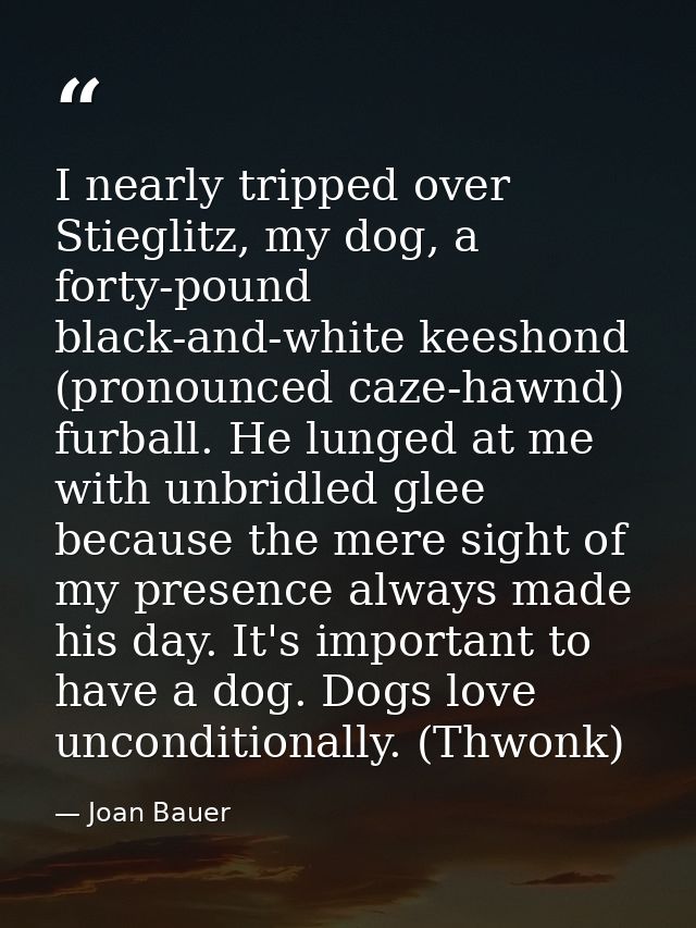 I nearly tripped over Stieglitz, my dog, a forty-pound black-and-white keeshond (pronounced caze-hawnd) furball. He lung — Joan Bauer