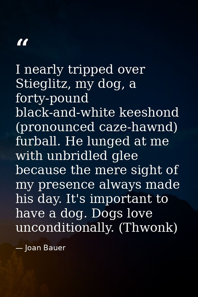 I nearly tripped over Stieglitz, my dog, a forty-pound black-and-white keeshond (pronounced caze-hawnd) furball. He lung — Joan Bauer