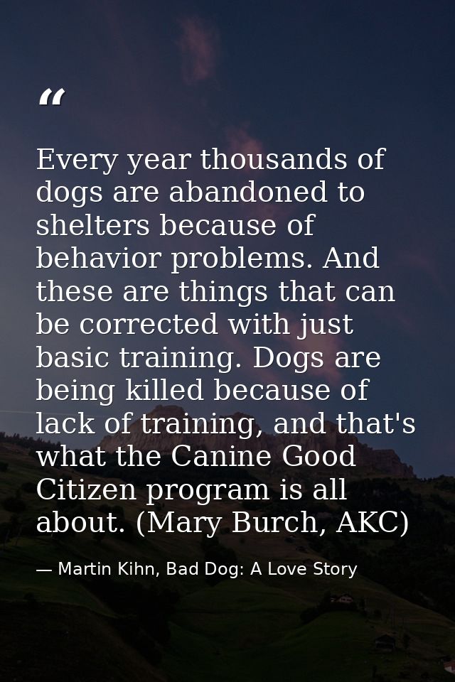 Every year thousands of dogs are abandoned to shelters because of behavior problems. And these are things that can be co — Martin Kihn, Bad Dog: A Love Story