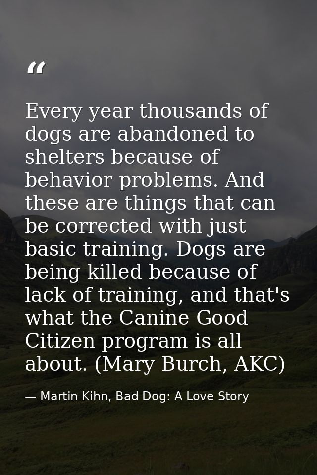 Every year thousands of dogs are abandoned to shelters because of behavior problems. And these are things that can be co — Martin Kihn, Bad Dog: A Love Story