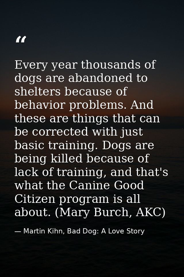 Every year thousands of dogs are abandoned to shelters because of behavior problems. And these are things that can be co — Martin Kihn, Bad Dog: A Love Story