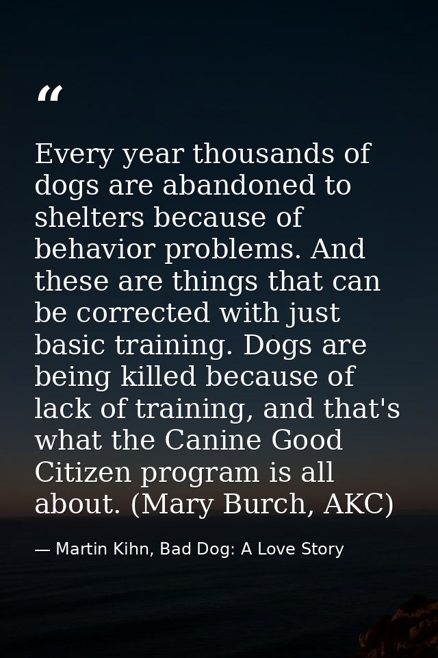 Every year thousands of dogs are abandoned to shelters because of behavior problems. And these are things that can be co — Martin Kihn, Bad Dog: A Love Story