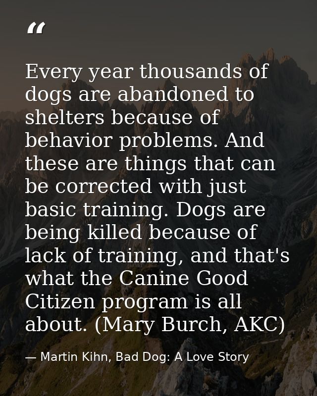 Every year thousands of dogs are abandoned to shelters because of behavior problems. And these are things that can be co — Martin Kihn, Bad Dog: A Love Story