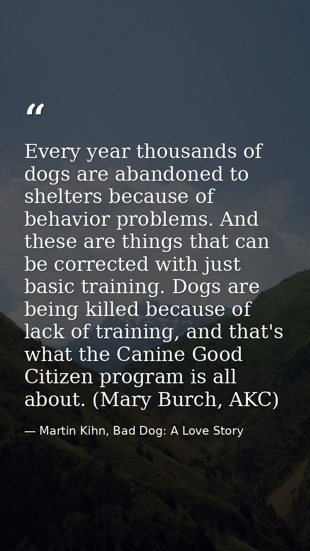 Every year thousands of dogs are abandoned to shelters because of behavior problems. And these are things that can be co — Martin Kihn, Bad Dog: A Love Story