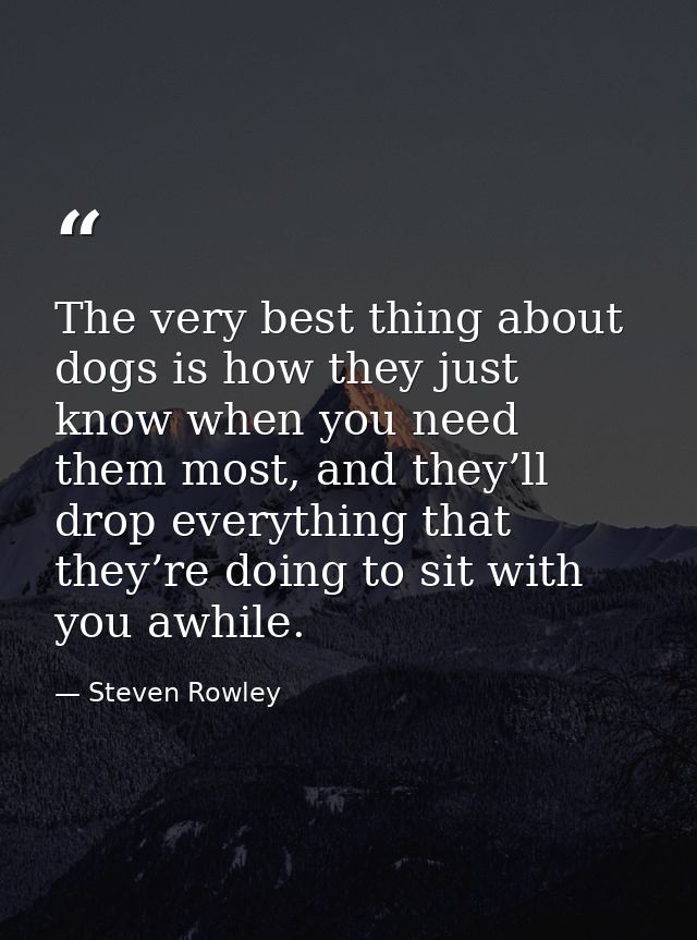 The very best thing about dogs is how they just know when you need them most, and they’ll drop everything that they’re d — Steven Rowley