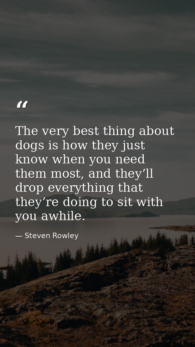The very best thing about dogs is how they just know when you need them most, and they’ll drop everything that they’re d — Steven Rowley