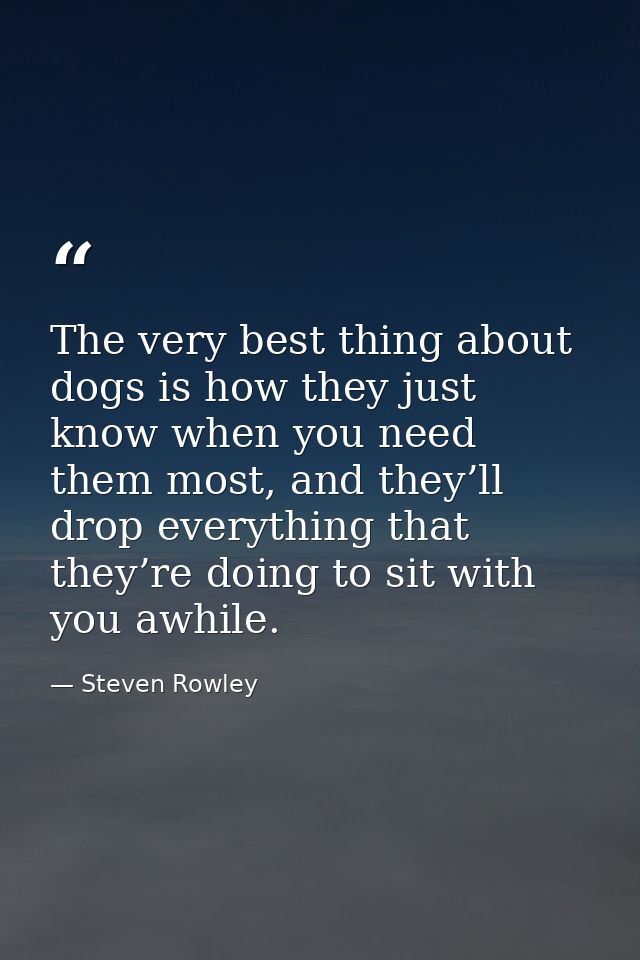 The very best thing about dogs is how they just know when you need them most, and they’ll drop everything that they’re d — Steven Rowley