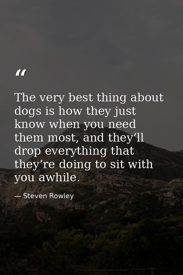 The very best thing about dogs is how they just know when you need them most, and they’ll drop everything that they’re d — Steven Rowley