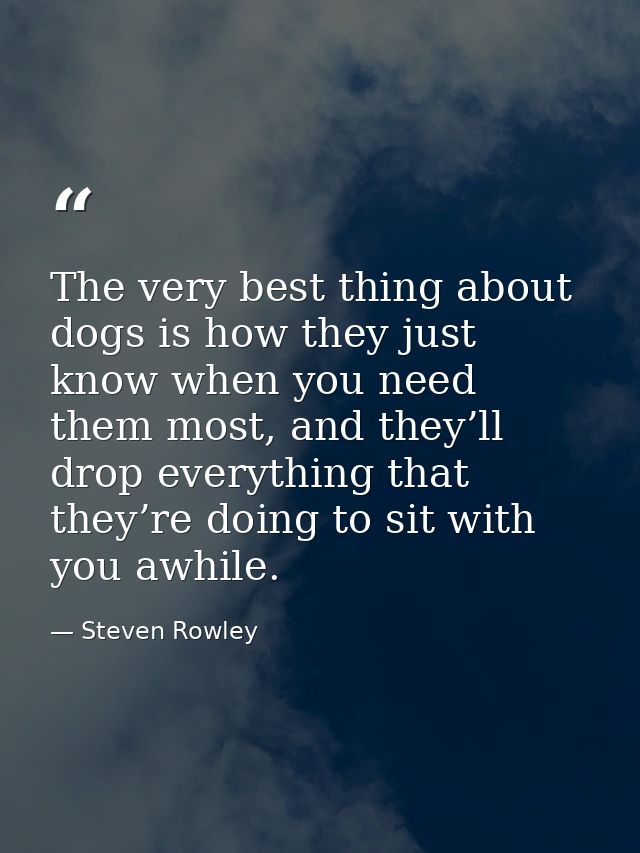 The very best thing about dogs is how they just know when you need them most, and they’ll drop everything that they’re d — Steven Rowley