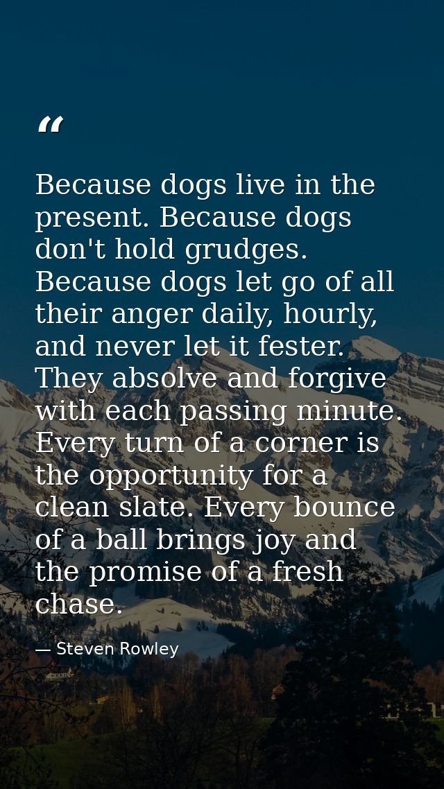 Because dogs live in the present. Because dogs don't hold grudges. Because dogs let go of all their anger daily, hourly, — Steven Rowley