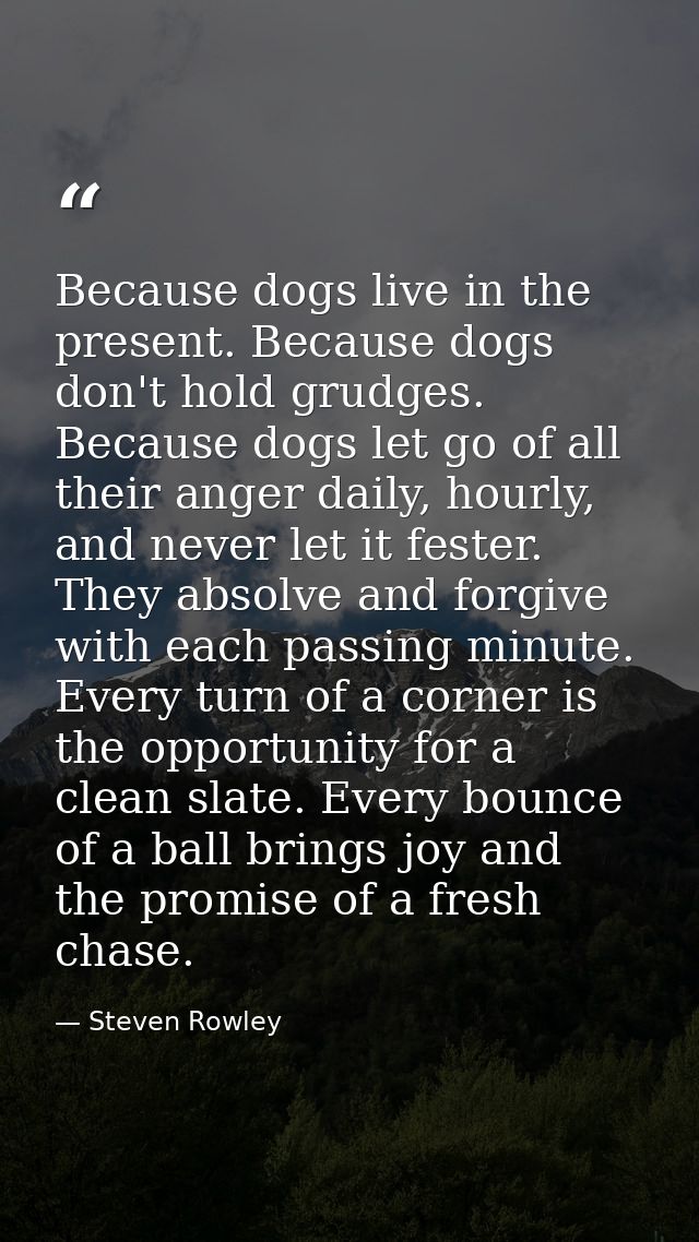 Because dogs live in the present. Because dogs don't hold grudges. Because dogs let go of all their anger daily, hourly, — Steven Rowley