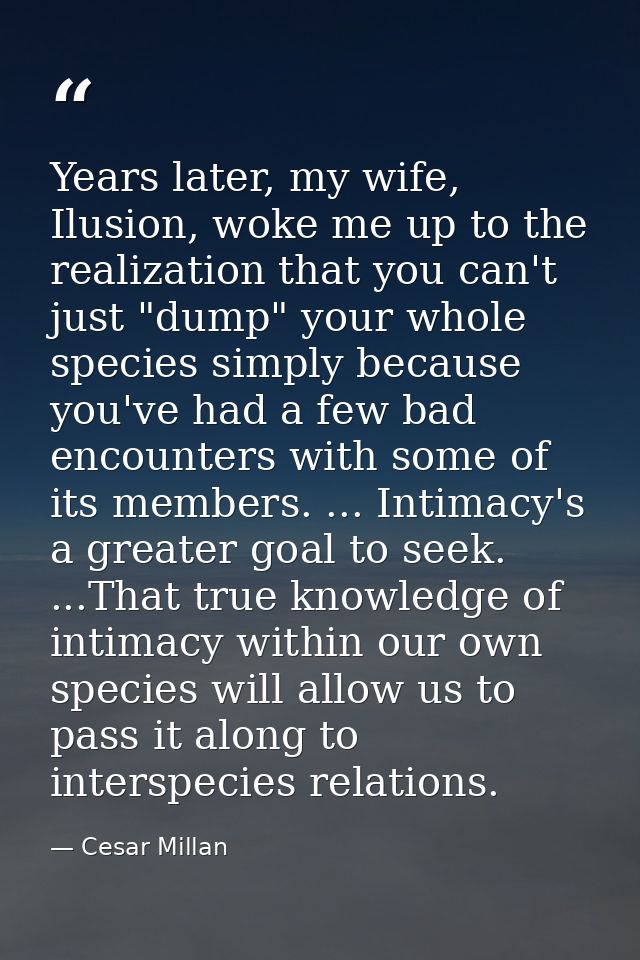 Years later, my wife, Ilusion, woke me up to the realization that you can't just "dump" your whole species simply becaus — Cesar Millan