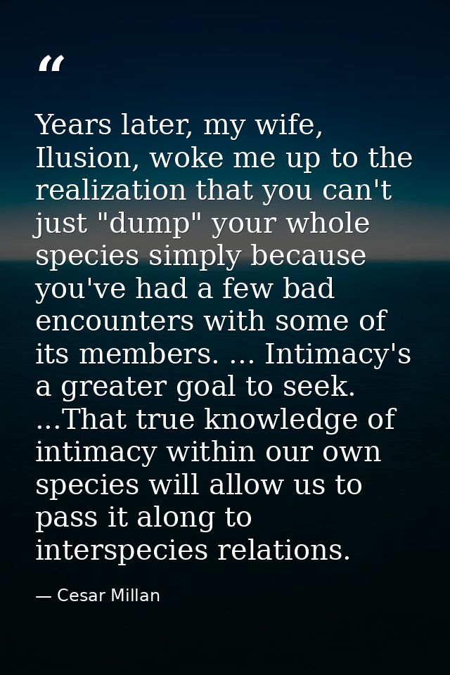 Years later, my wife, Ilusion, woke me up to the realization that you can't just "dump" your whole species simply becaus — Cesar Millan