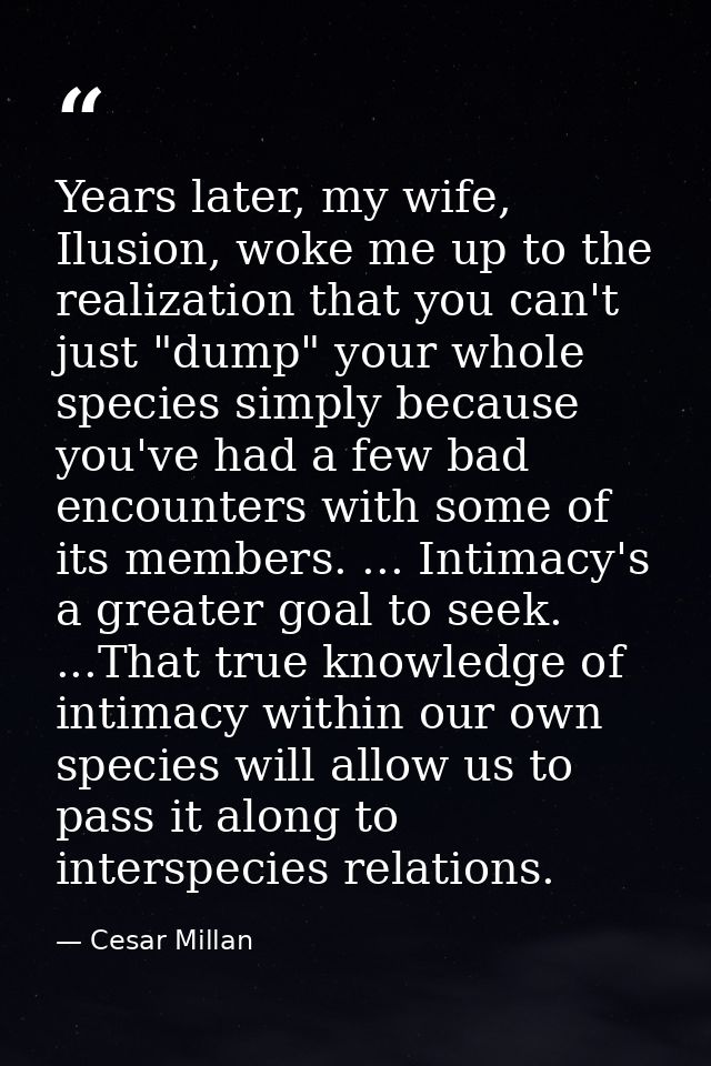 Years later, my wife, Ilusion, woke me up to the realization that you can't just "dump" your whole species simply becaus — Cesar Millan