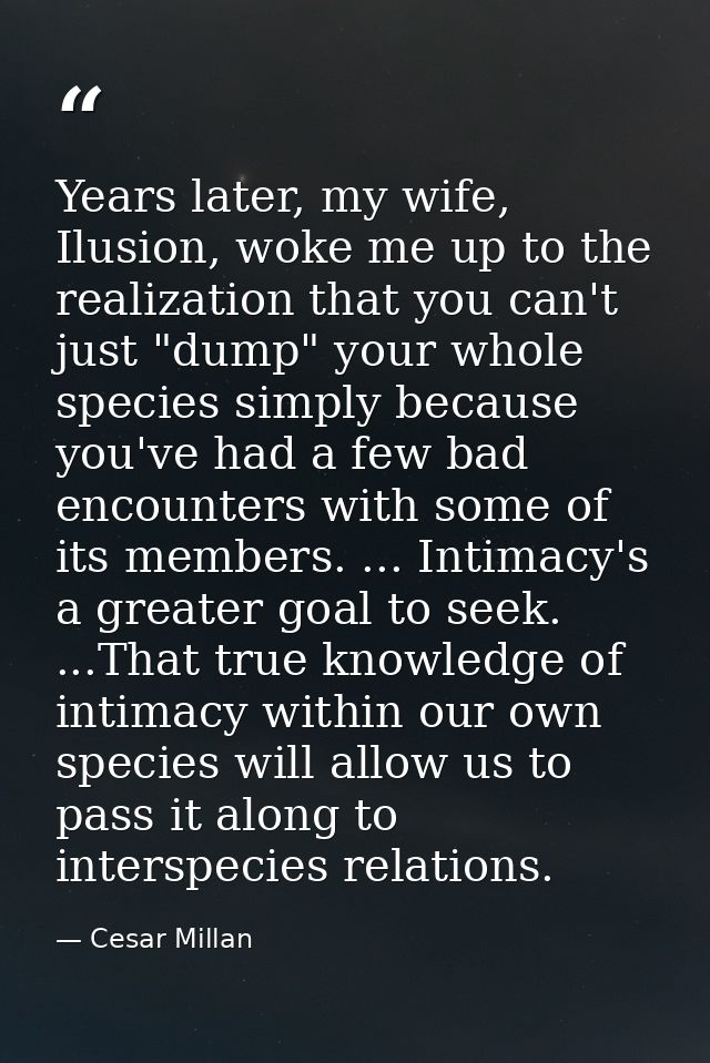 Years later, my wife, Ilusion, woke me up to the realization that you can't just "dump" your whole species simply becaus — Cesar Millan