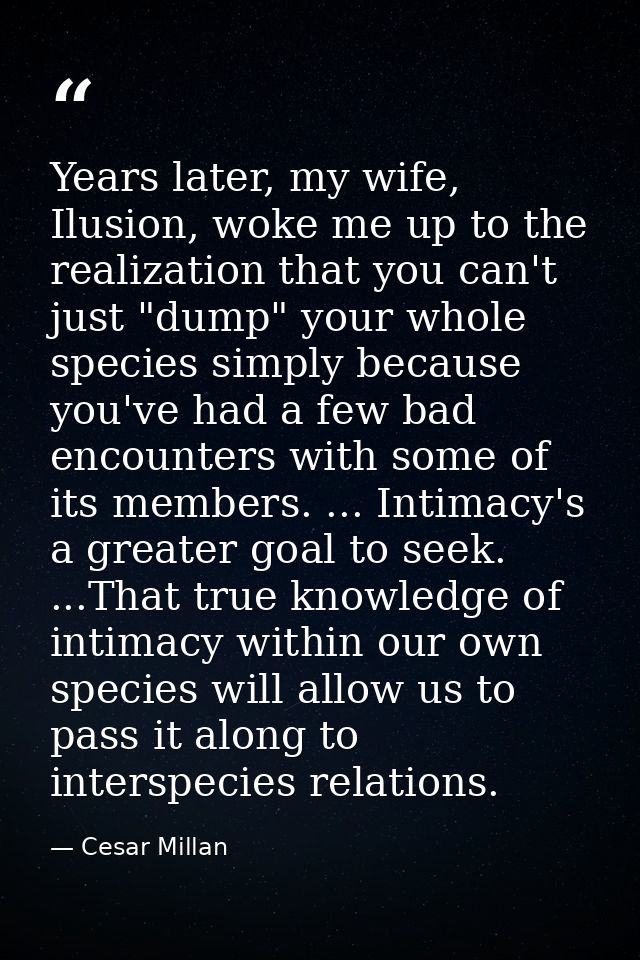 Years later, my wife, Ilusion, woke me up to the realization that you can't just "dump" your whole species simply becaus — Cesar Millan