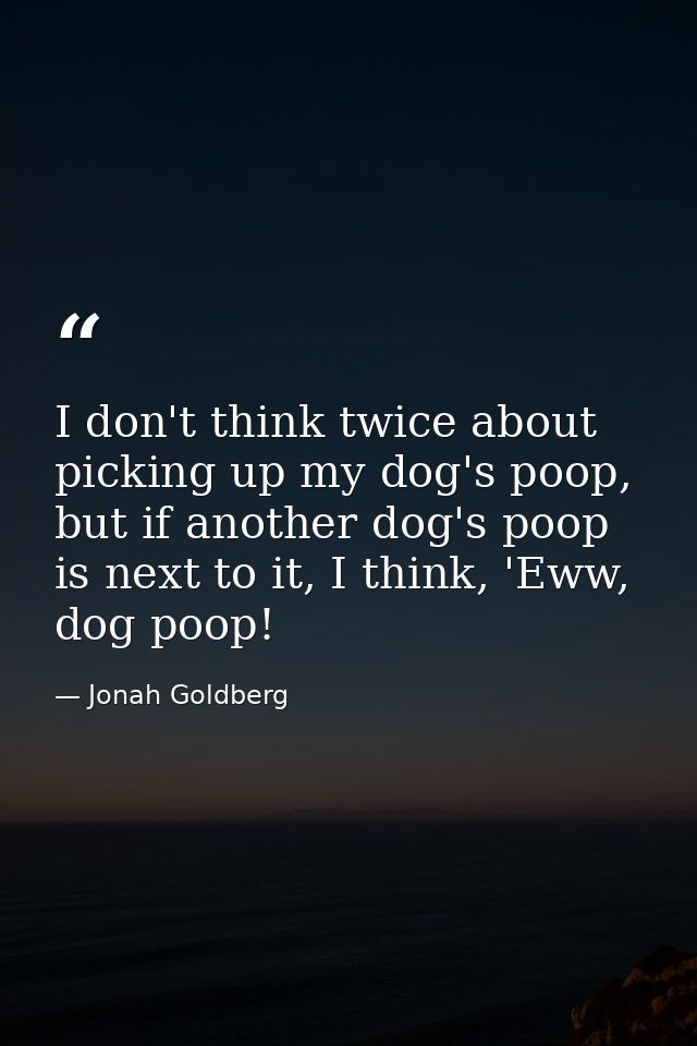 I don't think twice about picking up my dog's poop, but if another dog's poop is next to it, I think, 'Eww, dog poop! — Jonah Goldberg