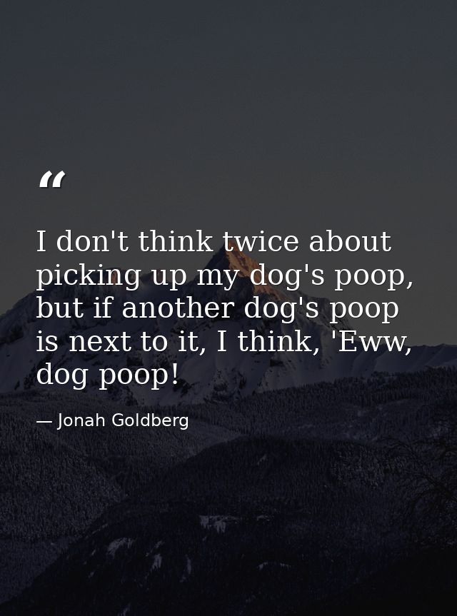 I don't think twice about picking up my dog's poop, but if another dog's poop is next to it, I think, 'Eww, dog poop! — Jonah Goldberg