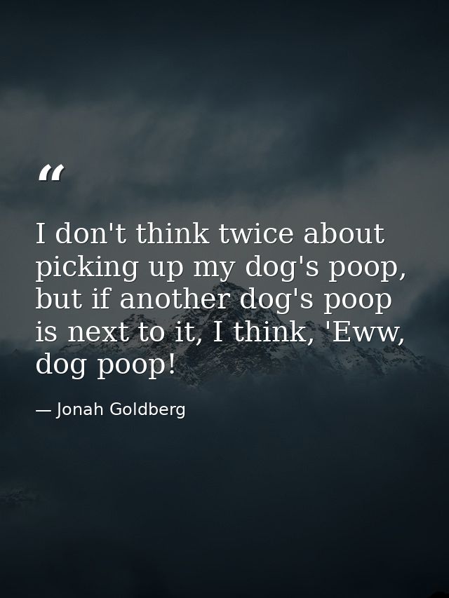 I don't think twice about picking up my dog's poop, but if another dog's poop is next to it, I think, 'Eww, dog poop! — Jonah Goldberg