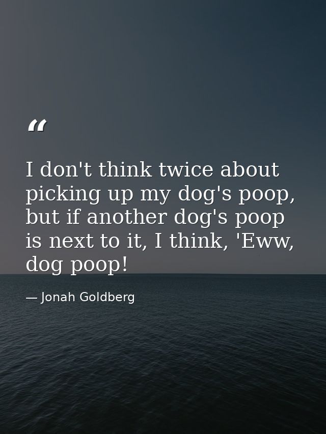 I don't think twice about picking up my dog's poop, but if another dog's poop is next to it, I think, 'Eww, dog poop! — Jonah Goldberg