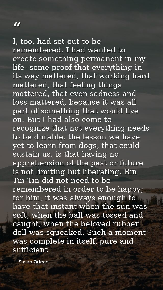 I, too, had set out to be remembered. I had wanted to create something permanent in my life- some proof that everything  — Susan Orlean