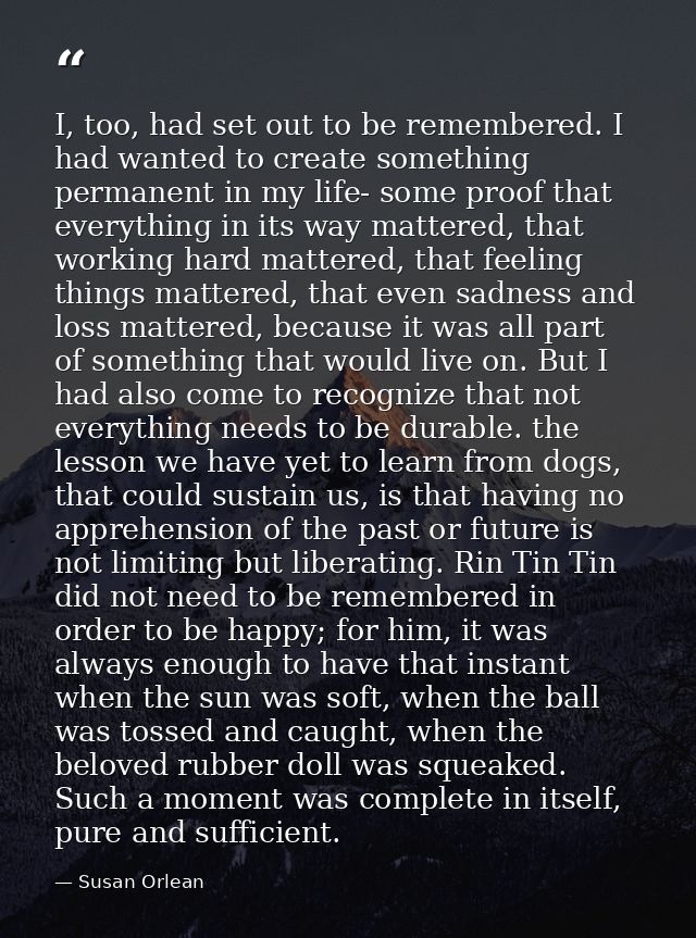 I, too, had set out to be remembered. I had wanted to create something permanent in my life- some proof that everything  — Susan Orlean