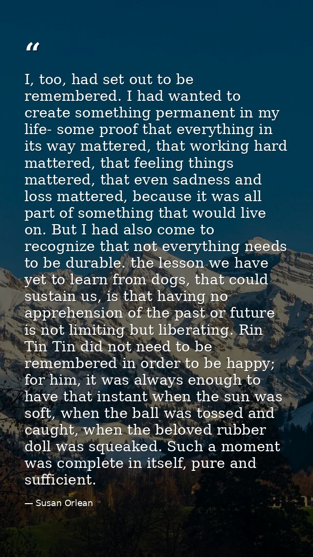 I, too, had set out to be remembered. I had wanted to create something permanent in my life- some proof that everything  — Susan Orlean