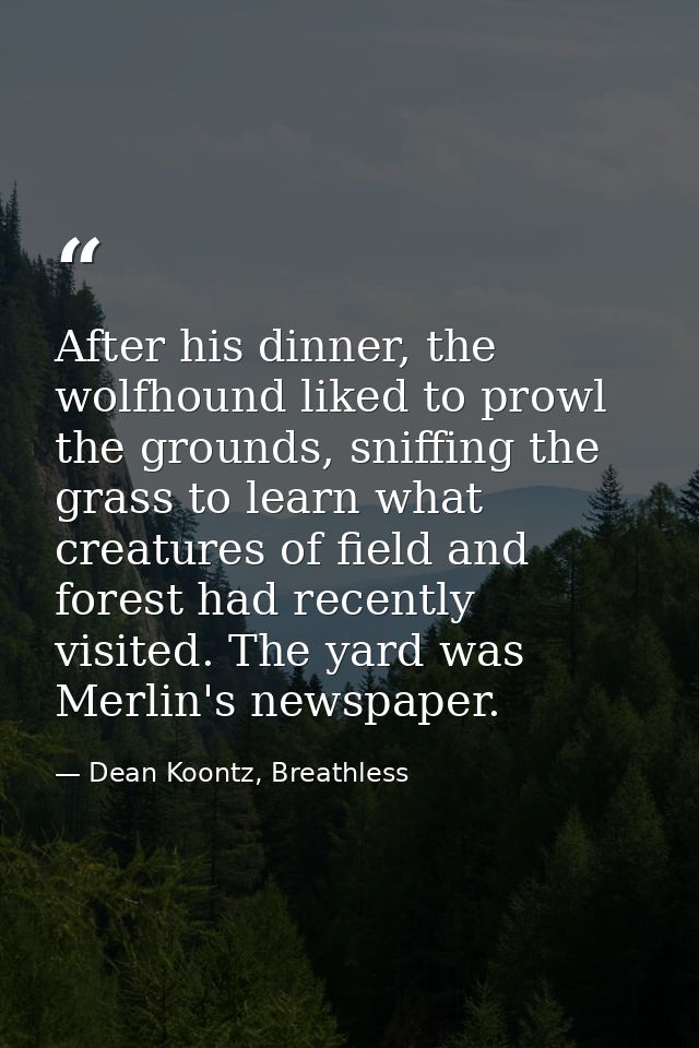 After his dinner, the wolfhound liked to prowl the grounds, sniffing the grass to learn what creatures of field and fore — Dean Koontz, Breathless
