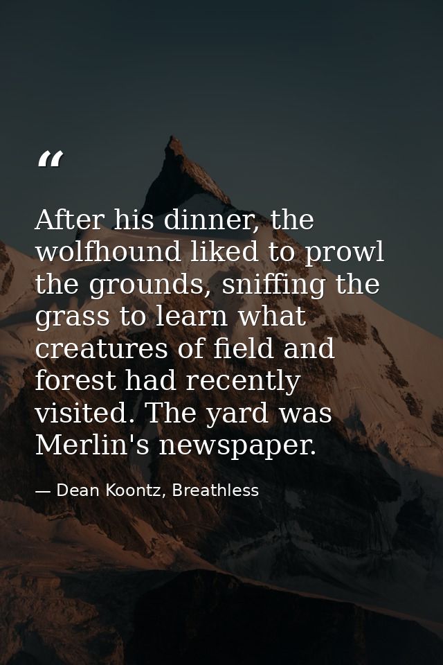 After his dinner, the wolfhound liked to prowl the grounds, sniffing the grass to learn what creatures of field and fore — Dean Koontz, Breathless