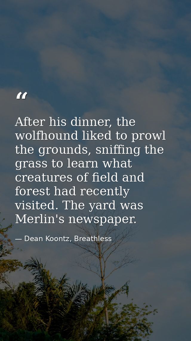 After his dinner, the wolfhound liked to prowl the grounds, sniffing the grass to learn what creatures of field and fore — Dean Koontz, Breathless