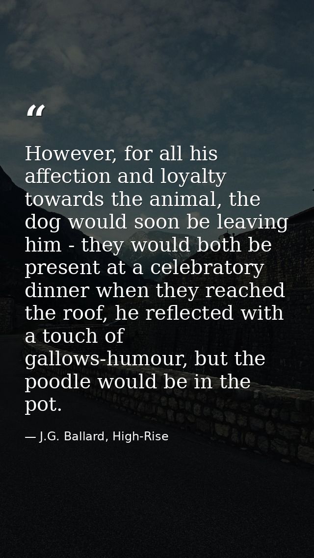 However, for all his affection and loyalty towards the animal, the dog would soon be leaving him - they would both be pr — J.G. Ballard, High-Rise