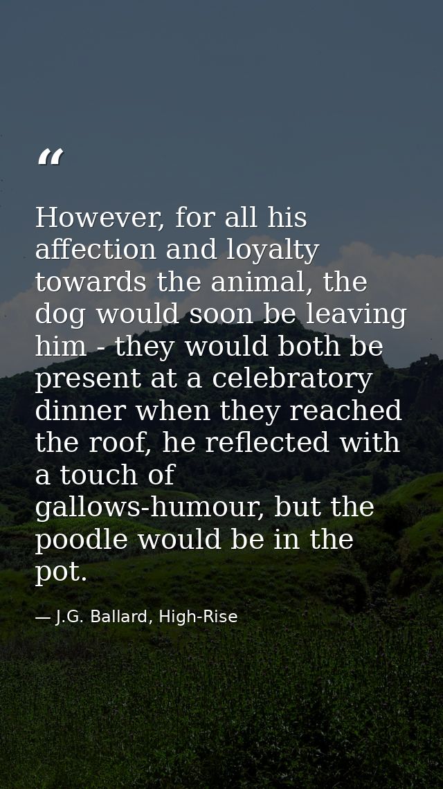 However, for all his affection and loyalty towards the animal, the dog would soon be leaving him - they would both be pr — J.G. Ballard, High-Rise