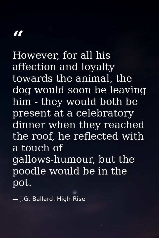 However, for all his affection and loyalty towards the animal, the dog would soon be leaving him - they would both be pr — J.G. Ballard, High-Rise