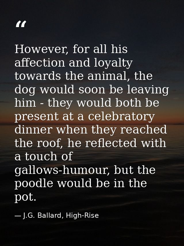 However, for all his affection and loyalty towards the animal, the dog would soon be leaving him - they would both be pr — J.G. Ballard, High-Rise