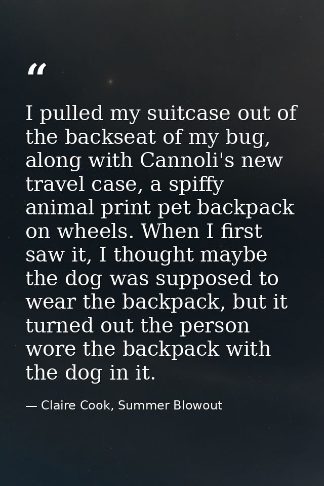 I pulled my suitcase out of the backseat of my bug, along with Cannoli's new travel case, a spiffy animal print pet back — Claire Cook, Summer Blowout